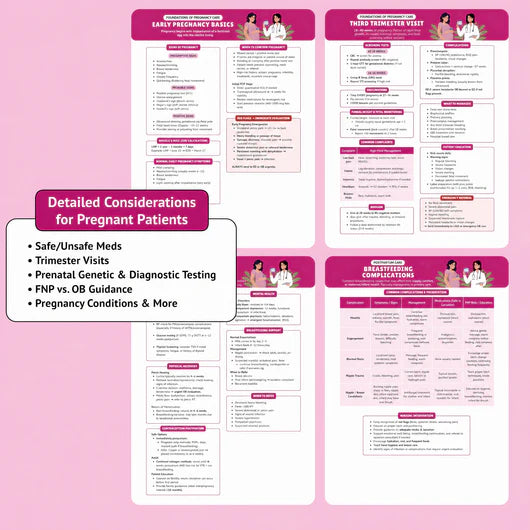 The Essential Family Nurse Practitioner Guide